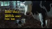 Vaca - Tráiler oficial español