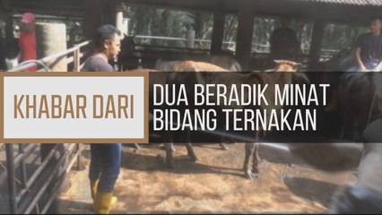 Khabar Dari Johor: Dua beradik minat bidang ternakan