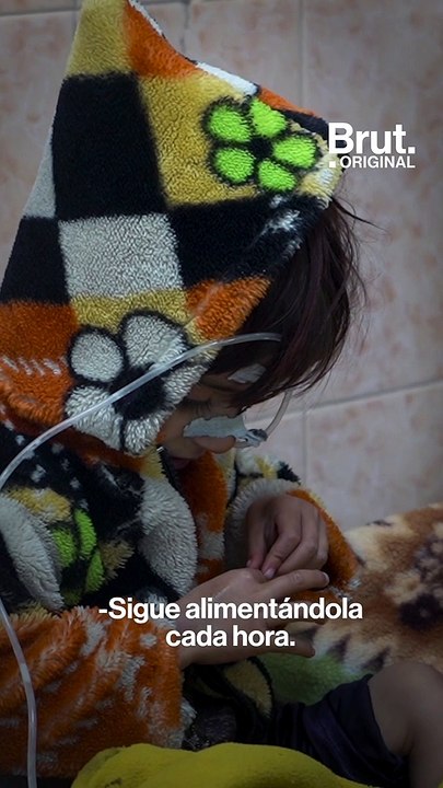 La hambruna de los niños afganos aumenta desde el regreso de los talibanes