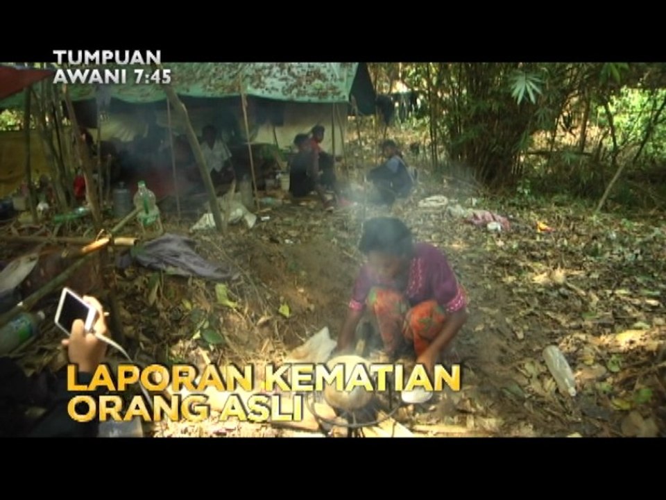 Tumpuan AWANI 7.45: Laporan kematian Orang Asli & eksport ke China
