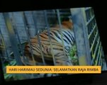 Hari Harimau Sedunia: Selamatkan Raja Rimba