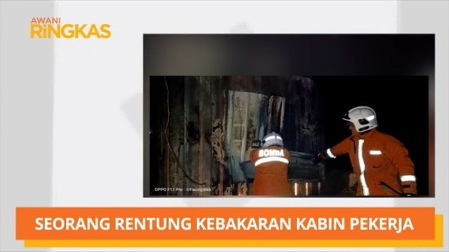 AWANI Ringkas: Treler rempuh gajah liar, Seorang rentung kebakaran kabin pekerja