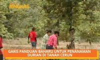 AWANI Ringkas: Garis panduan baharu untuk penanaman durian di tanah cerun