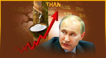 วิกฤติยูเครนดันราคายางพารา พุ่งนิวไฮในรอบ 4 ปี | THAN VIRAL | 14/3/65