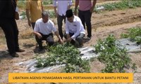 Libatkan agensi pemasaran hasil pertanian untuk bantu petani