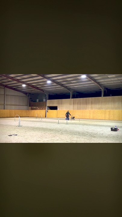 Enriched Dog Training UK