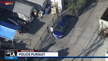 Des policiers ont beaucoup de mal à trouver un suspect qui s'est caché (États-Unis)