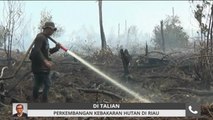 Perkembangan kebakaran hutan di Riau