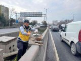 Esenler'de otobanda demirler arasında sıkışan kedi, belediye ekiplerince kurtarıldı