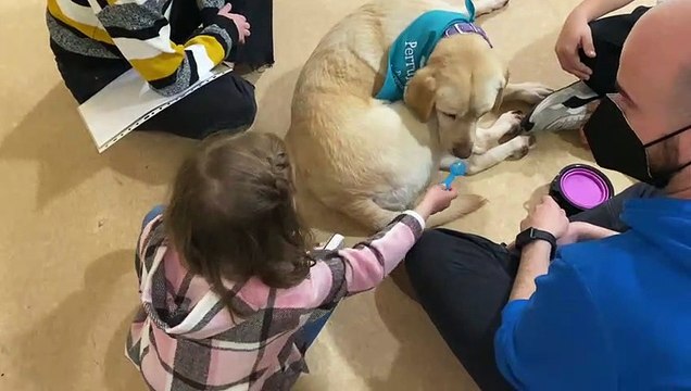 Terapia canina en la sala de extracción de pacientes pediátricos del Hospital Reina Sofía