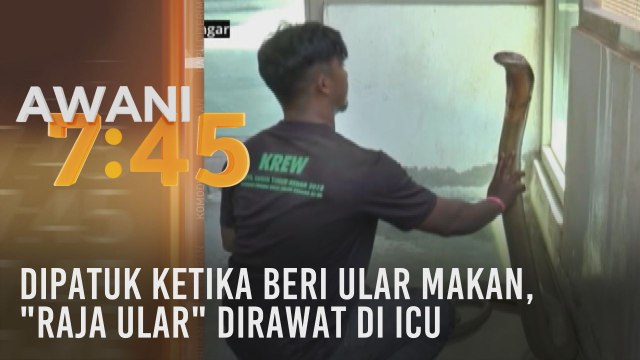 Dipatuk ketika beri ular makan, raja ular dirawat di ICU