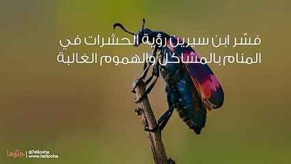تفسير رؤية الحشرات في المنام بالتفصيل