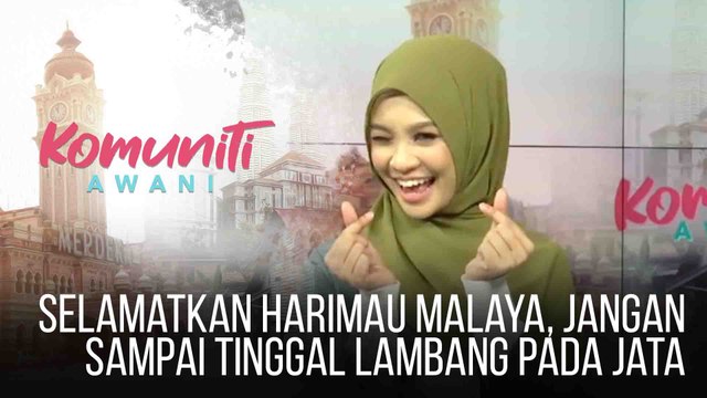 #KomunitiAWANI: Selamatkan Harimau Malaya, jangan sampai tinggal lambang pada jata