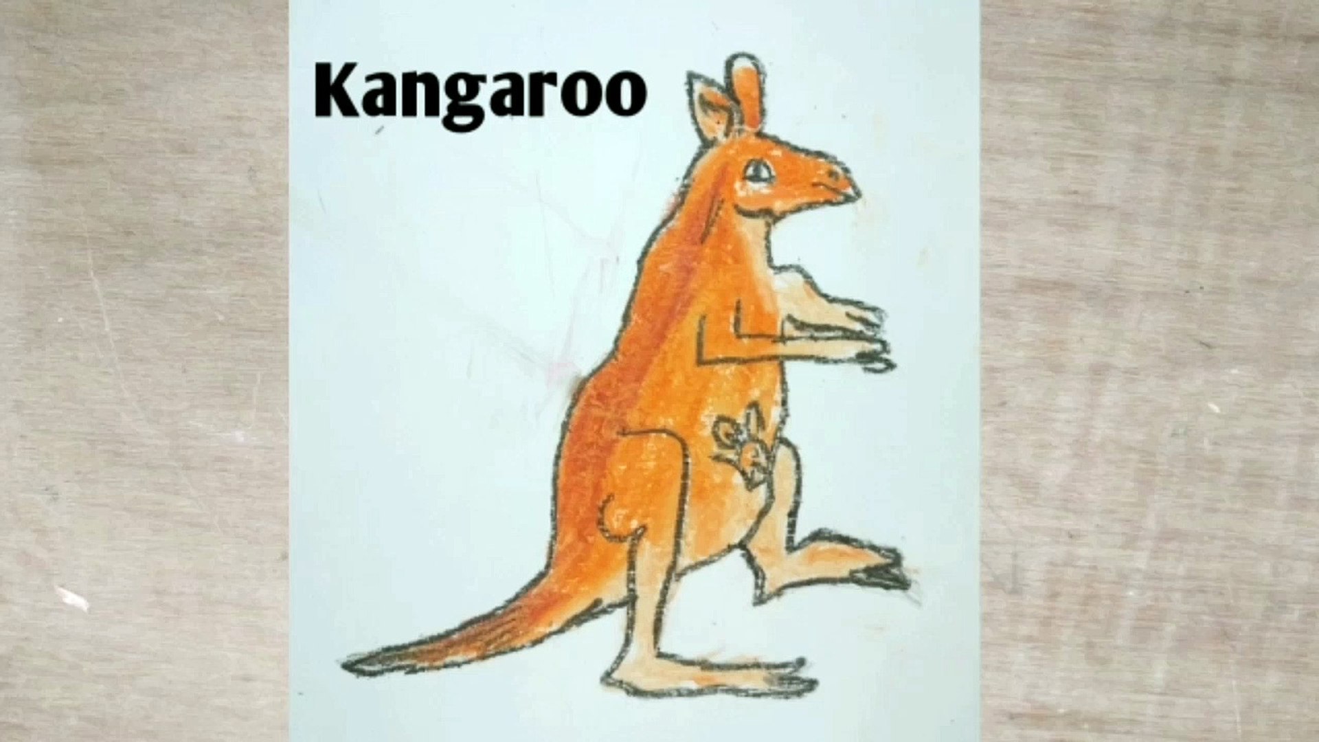 How to draw Kangaroo