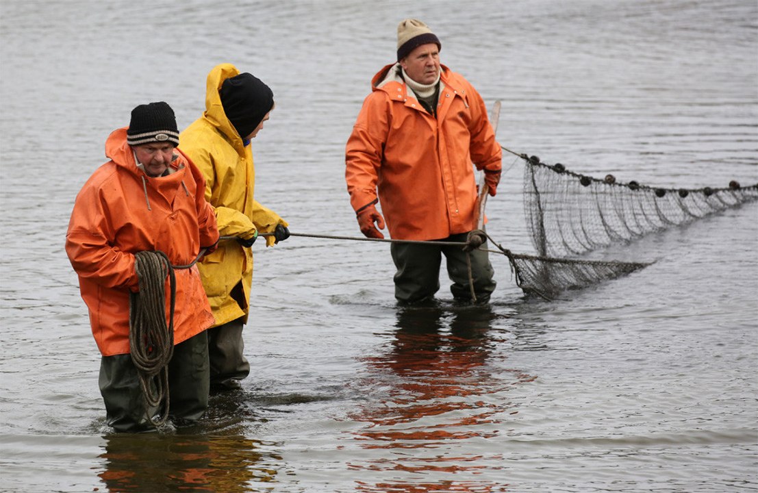 Fishermen reel in 12,000-year-old woolly mammoth tooth in New England