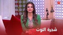 موقف محرج ألهمها لإطلاق مبادرة لذوي الهمم .. لقاء مع ديانا سعد مؤسسة مبادرة شجرة التوت