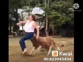 Tente não rir impossível