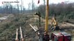 French oak trees airlifted to rebuild Notre-Dame cathedral