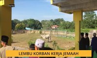Lembu korban kejar jemaah