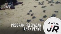 #AWANIJr:  TV semarak TV PSS SMKRKB5 -  Program Pelepasan Anak Penyu