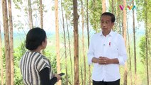 Jokowi Blak-blakan Soal Sumber Anggaran Pembangunan IKN