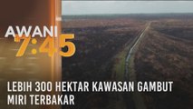 Lebih 300 hektar kawasan gambut Miri terbakar
