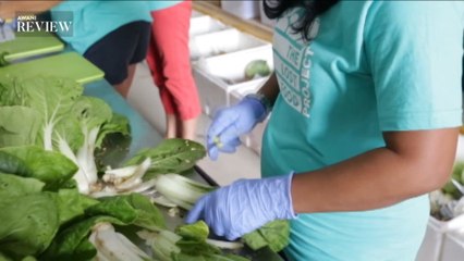 Excessive Demand Results in Price Hike of Simple Produce