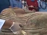 Un sarcophage égyptien vieux de 2500 ans est ouvert pour la première fois