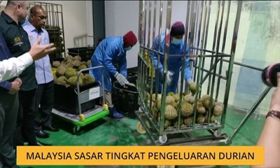 Malaysia cadang tingkat pengeluaran durian