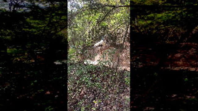 87 Jeep Wrangler Rolls Over in Off-Road Park