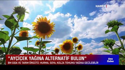 Ayçiçek yağına alternatif olur mu?