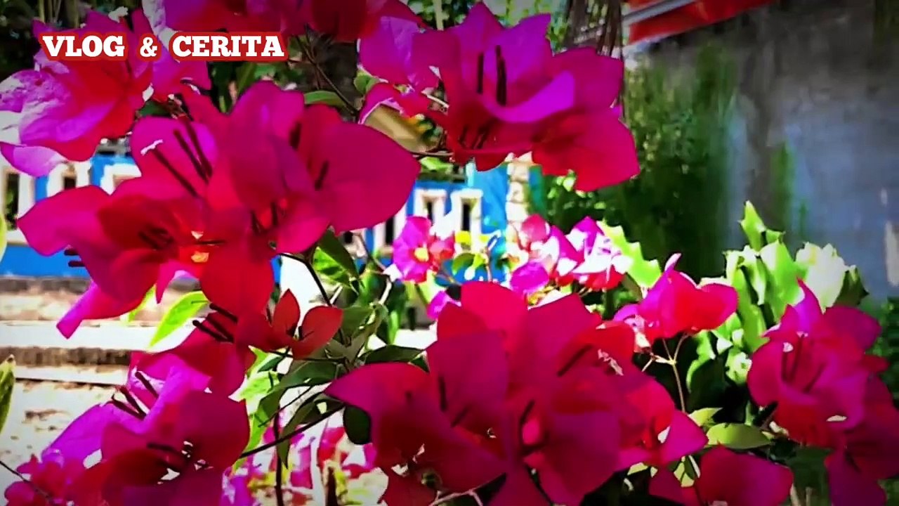 tak sengaja lewat depan kamar ibu cerpen romantis