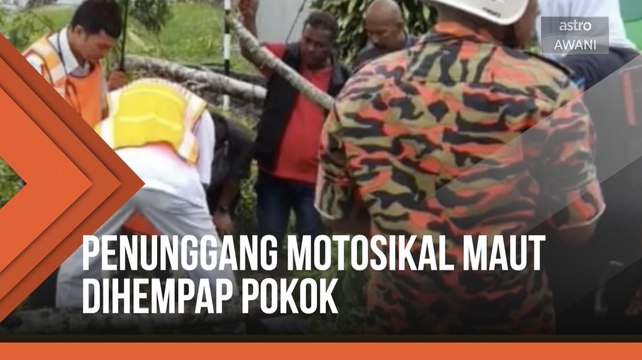Penunggang motosikal maut dihempap pokok