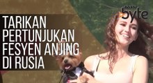 #AWANIByte: Tarikan pertunjukan fesyen anjing di Rusia