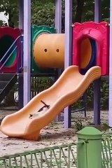 Funniest Cats and Dogs   Videos LOL  9