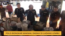 Polis bongkar makmal dadah di ladang lembu