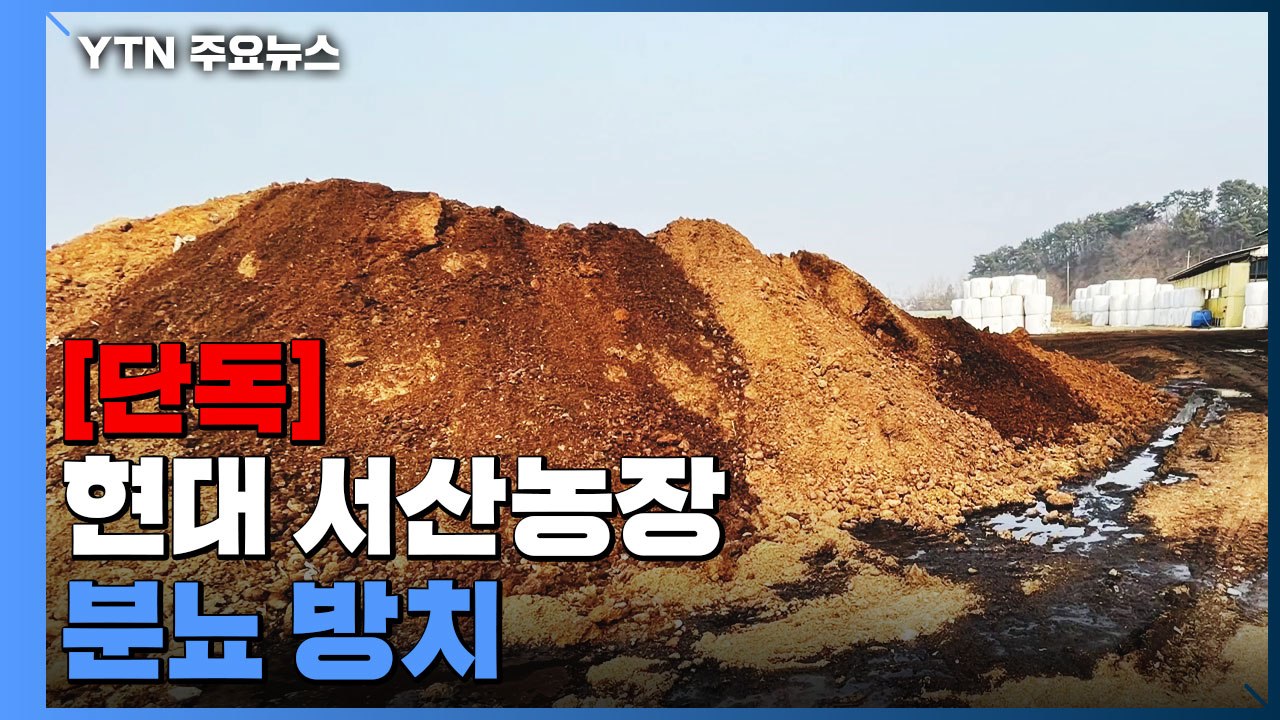 [단독] "정주영 소떼 키운 서산농장 분뇨 수백 톤 불법 방치"...경찰, 압수수색...