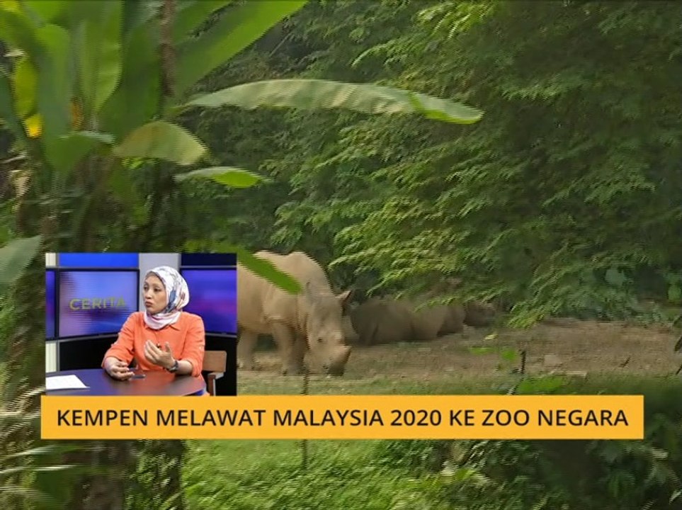 Cerita Sebalik Berita: Kempen melawat Malaysia 2020 ke Zoo Negara