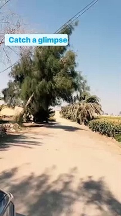 بمناسبة عيدها القومى.. تعرف على تاريخ محافظة بنى سويف ومعالمها السياحية