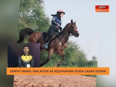 Kejohanan kuda lasak: Persedian mental dan fizikal peserta & kuda diambil kira
