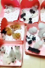 OMG So Cute ♥ Best Funny Cat Videos Part 49