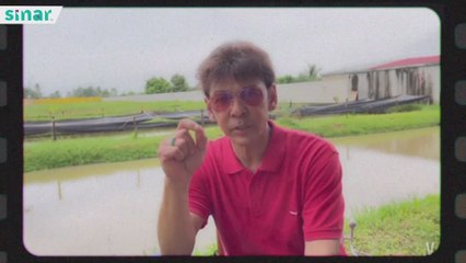 Projek Lagu Dato' Jamal