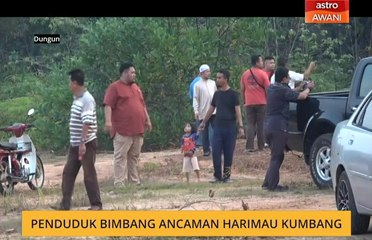 Penduduk bimbang ancaman harimau kumbang