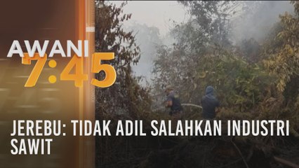 Jerebu: Tidak adil salahkan industri sawit