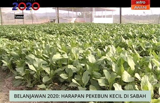 Niaga AWANI: Belanjawan 2020 - Harapan pekebun kecil & peningkatan kualiti hidup