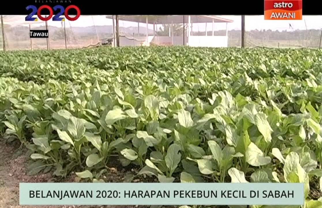 Niaga AWANI: Belanjawan 2020 - Harapan pekebun kecil & peningkatan kualiti hidup