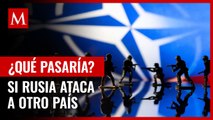 ¿Qué pasaría si Rusia ataca a otro país?