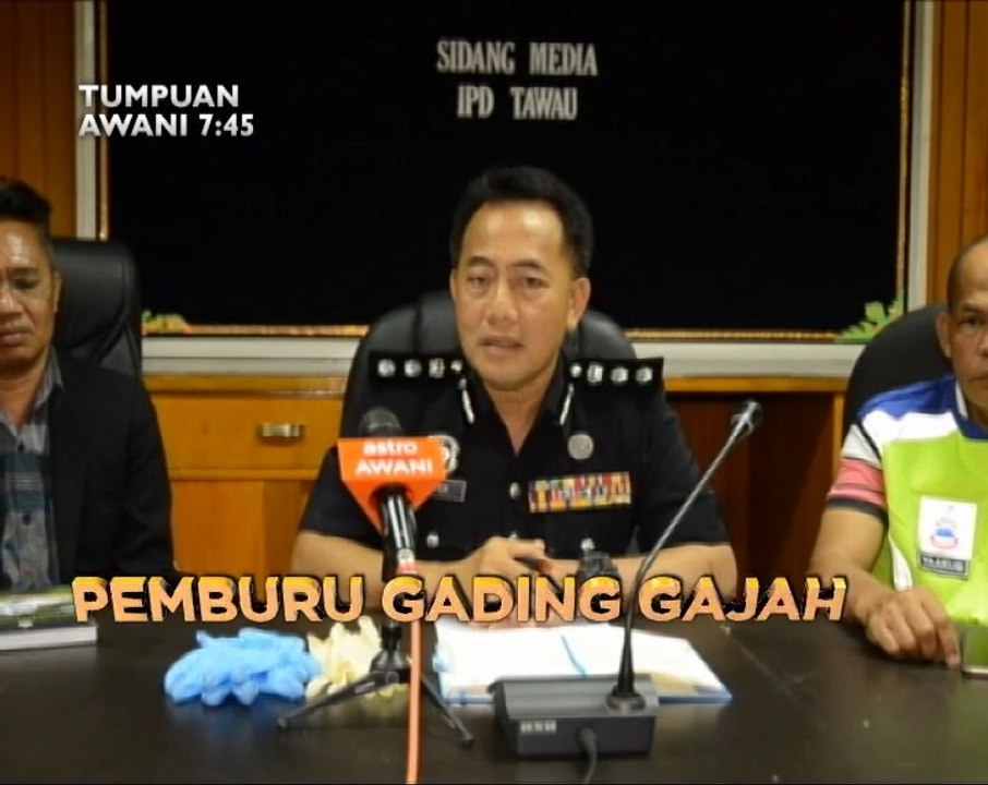 Tumpuan 7.45: 14 hari tempoh berkempen & pemburu gading gajah