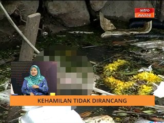 Yayasan OrphanCare selamatkan 377 bayi terbuang sejak 2008