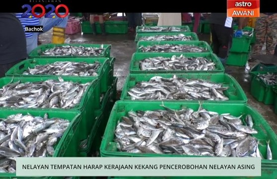 Niaga AWANI: Nelayan tempatan harap kerajaan kekang pencerobohan nelayan asing